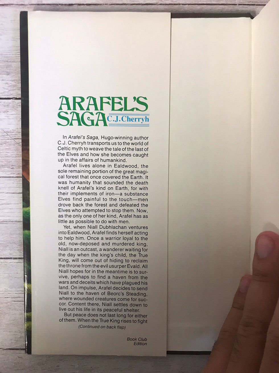Thumbnail: Arafel's Saga