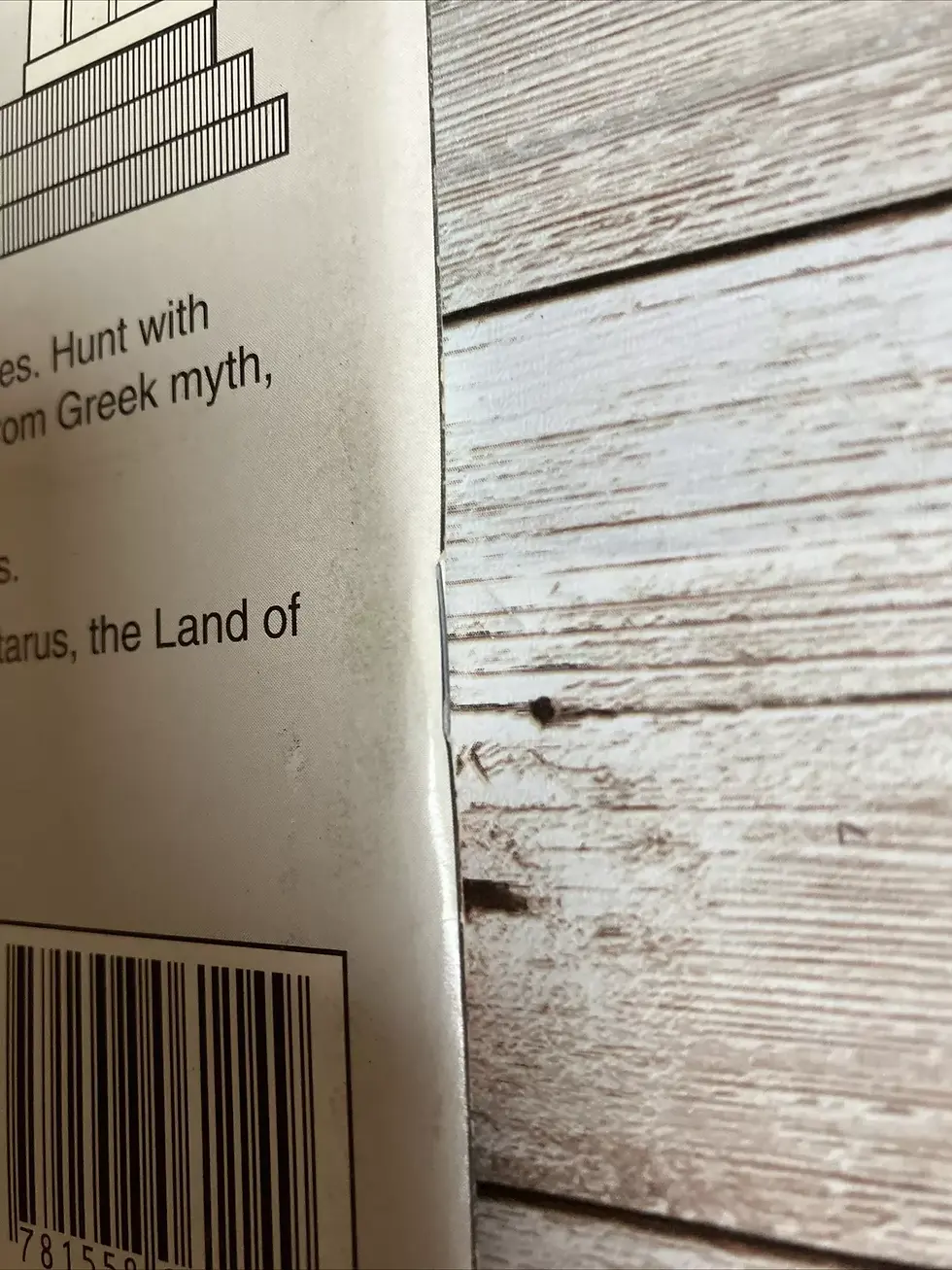 Thumbnail: Olympians