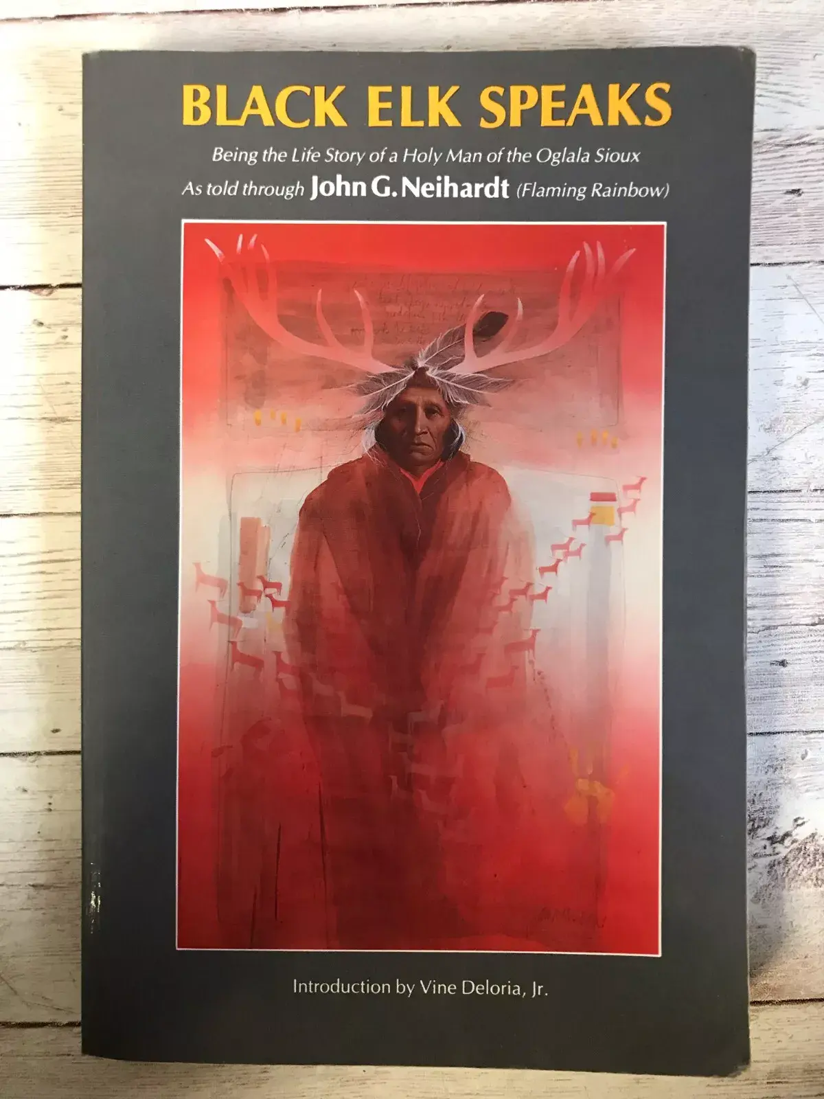 Black Elk Speaks : Being the Life Story of a Holy Man of the Oglala Sioux