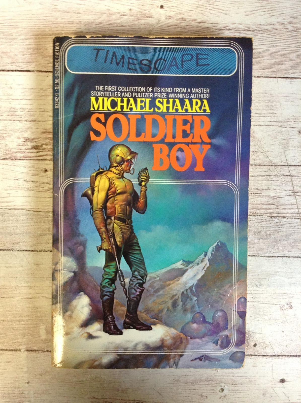 Soldier Boy: A Collection of Short Stories