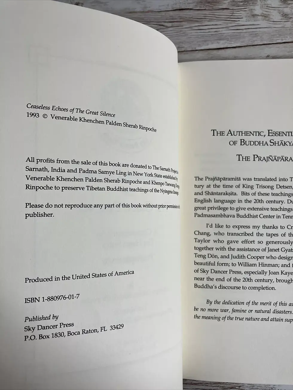 Thumbnail: Ceaseless Echoes of the Great Silence