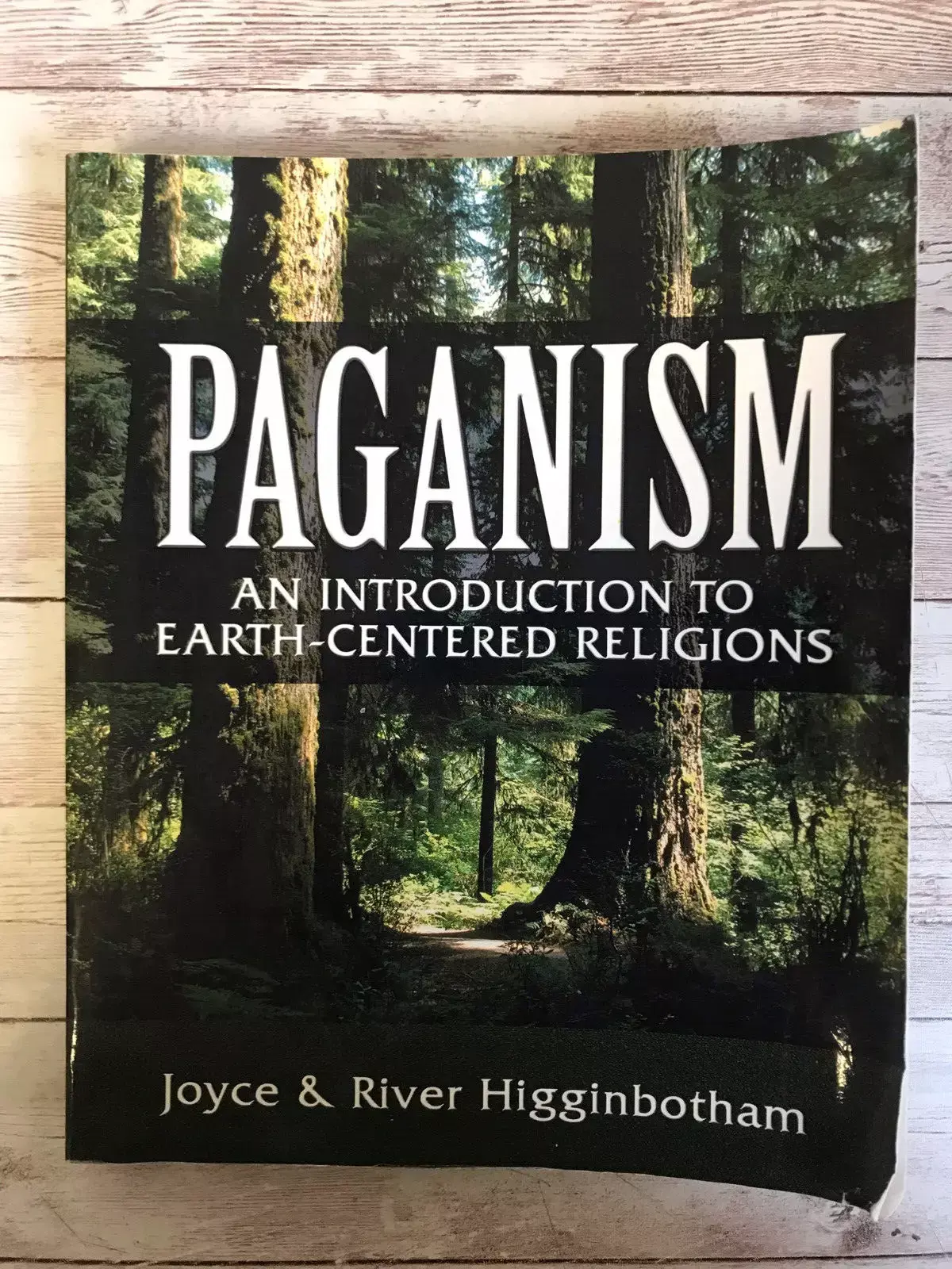 Paganism: An Introduction to Earth-Centered Religions