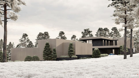 Kalvų Vila INDIVIDUALUS NAMO PROJEKTAS Antakalnis Vilnius UNIKALŪS NAMŲ PROJEKTAI Surdoko architektūros studija 