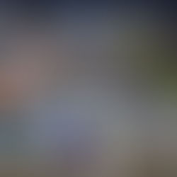 Porsche race cars 911 GT3 on the track