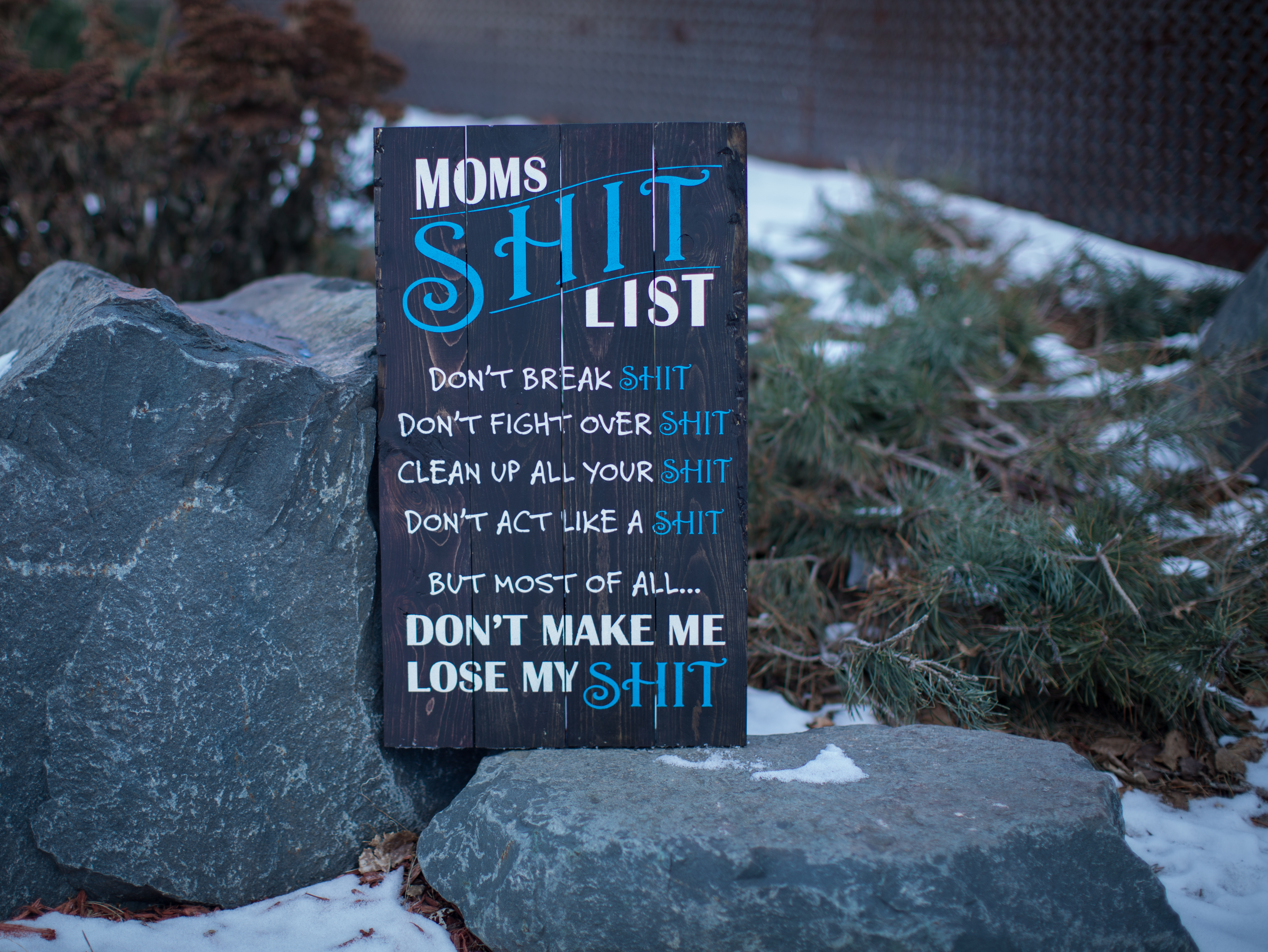 44) Moms Shit List