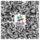 qr-code(1).png
