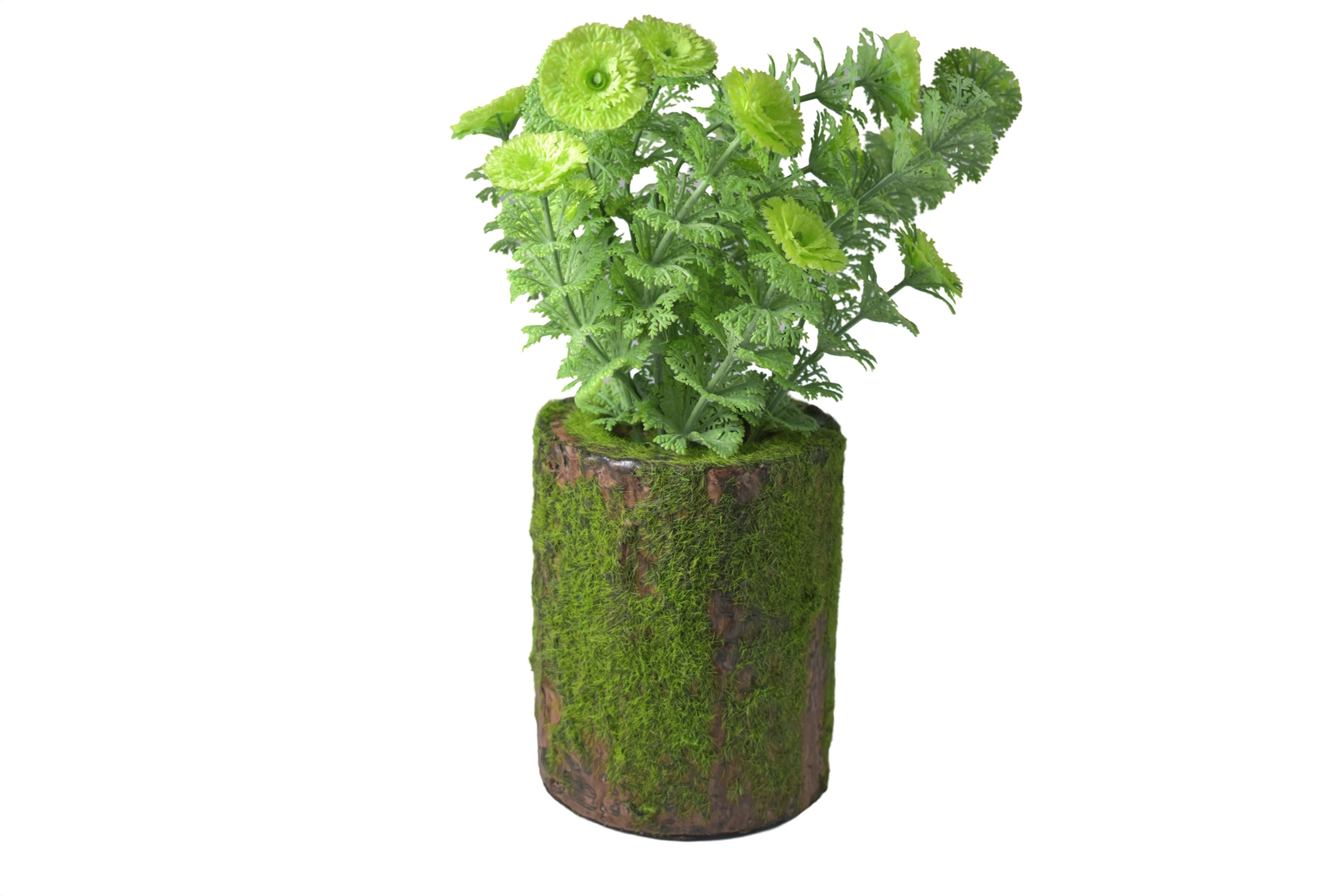 Украс дрво со мов