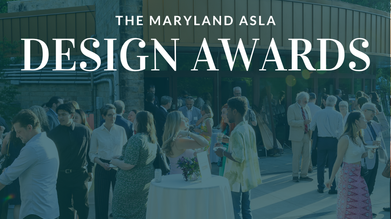 Call for Award Entries