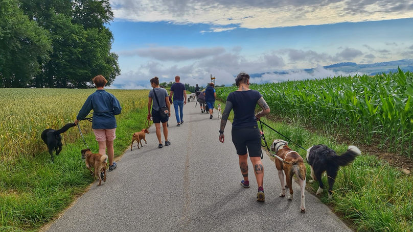 Trainings Spaziergang