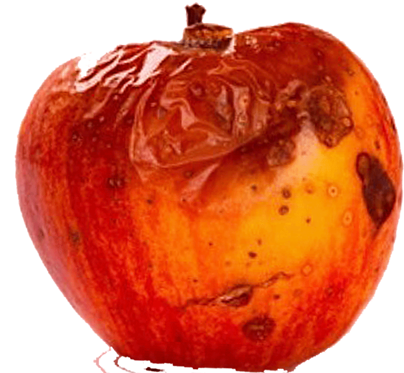 rotte-appel.gif
