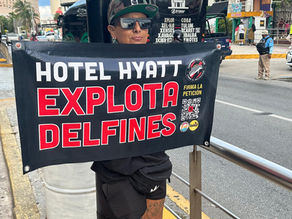 Protestas frente a hoteles Hyatt exigen el cierre del delfinario en Cancún