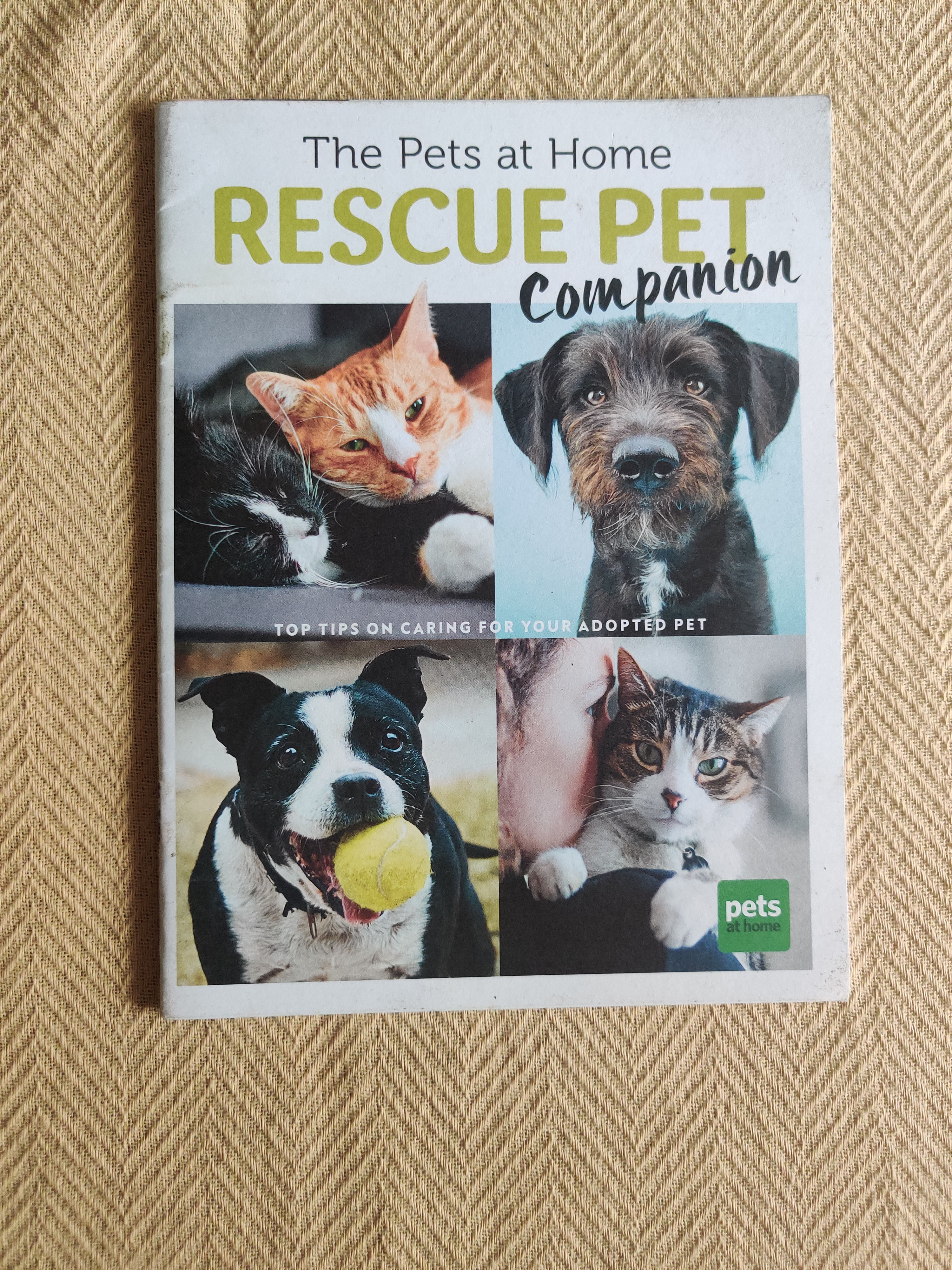 Rescue pet