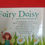Thumbnail: Fairy daisy and the secret promise