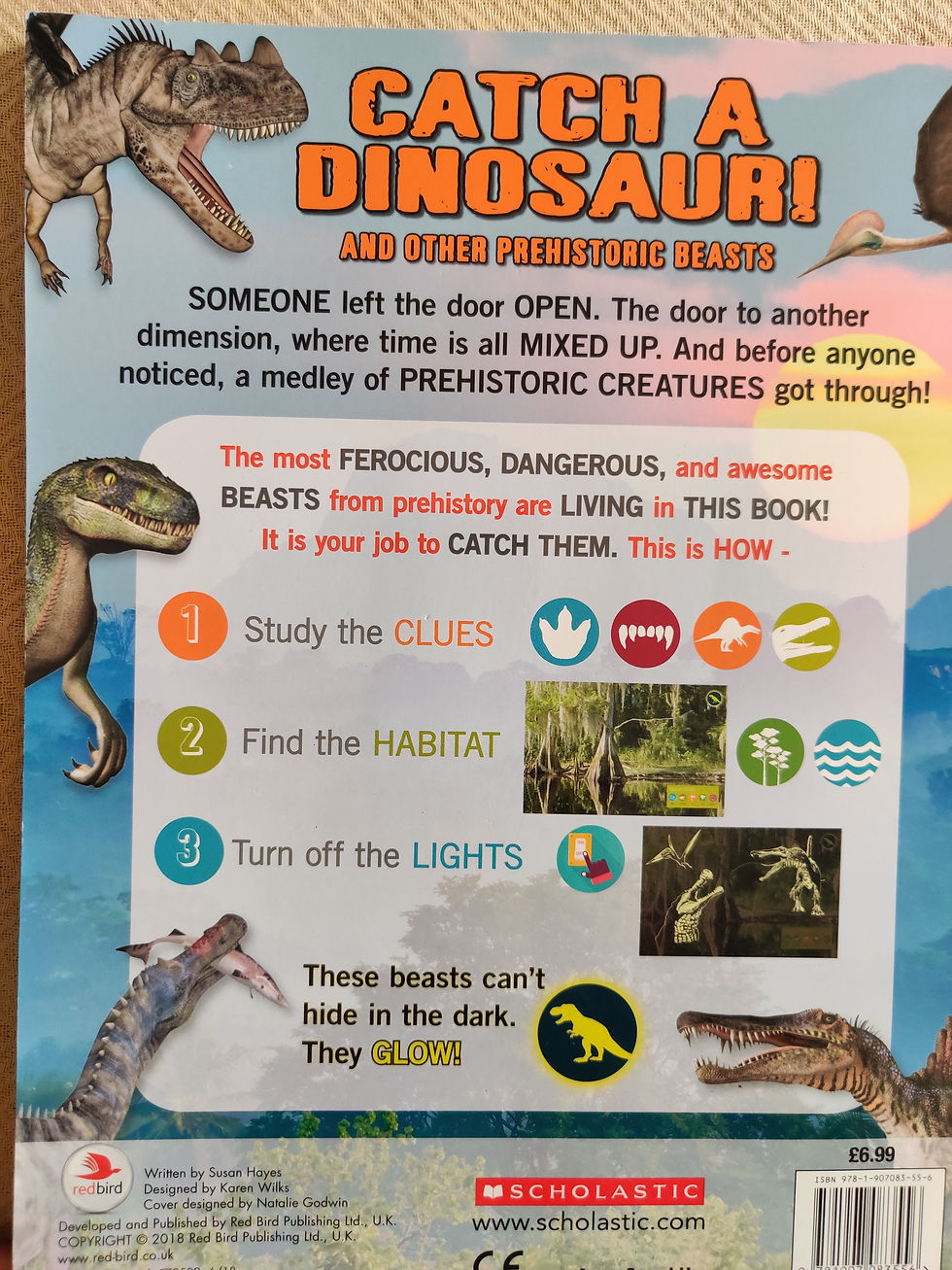 Thumbnail: Catch a dinosaur 