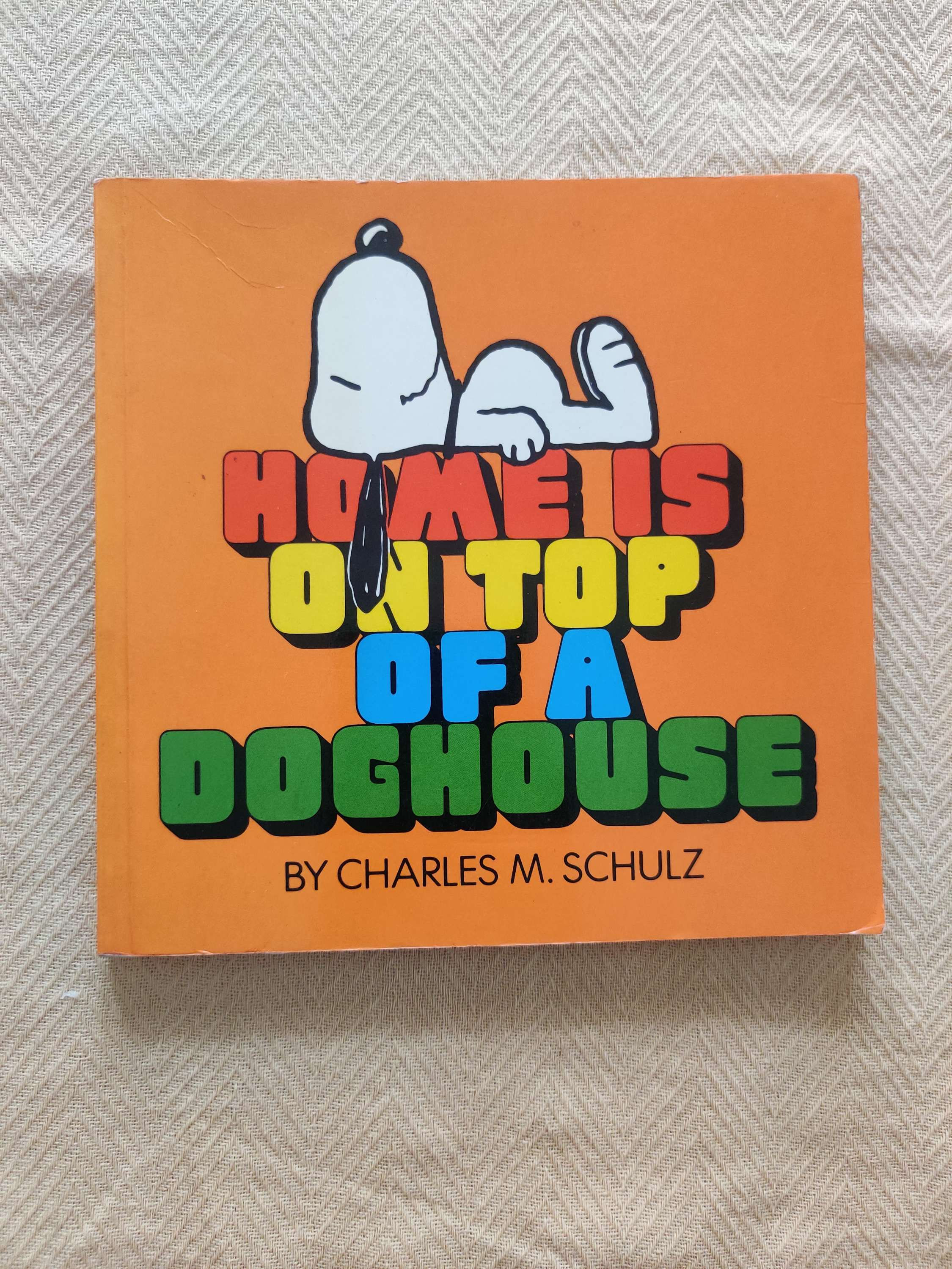 Home is on top of dog house