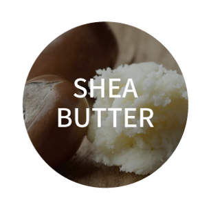 shellbutter.png