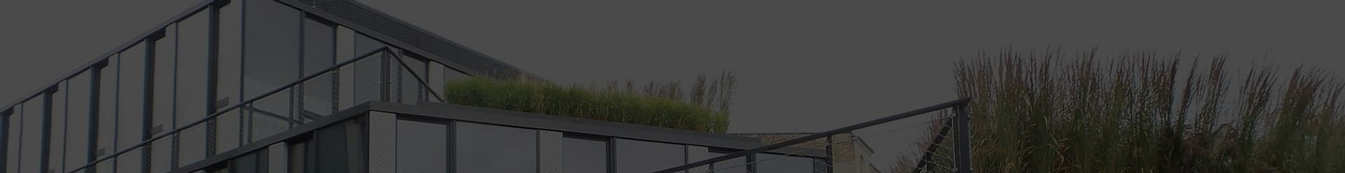 ZA BRAMKĄ _edited_edited.jpg