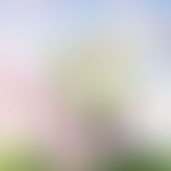 💖✨ THE PERFECT TREAT – LET HER FLOURISH