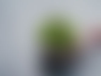 דיאטת תפוחים