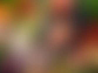 דיאטה לגיל המעבר - איך לשמור על הגזרה בגיל מבוגר