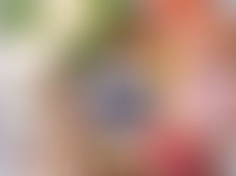 דיאטת חלבונים - מדריך על הדיאטה