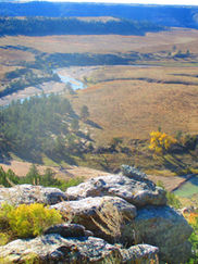 Cultivating Seeds of Wild Hope