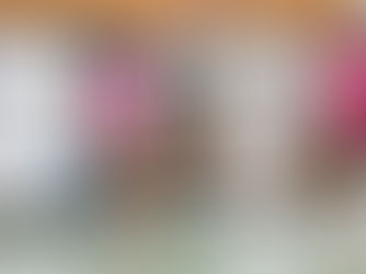 Serie-A2-Derby geht an medalp HT