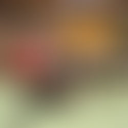 Zweites Einstiegsturnier der U8 und U10 in Innsbruck