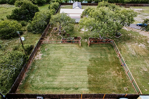 Spacious backyard with newly sodded lawn