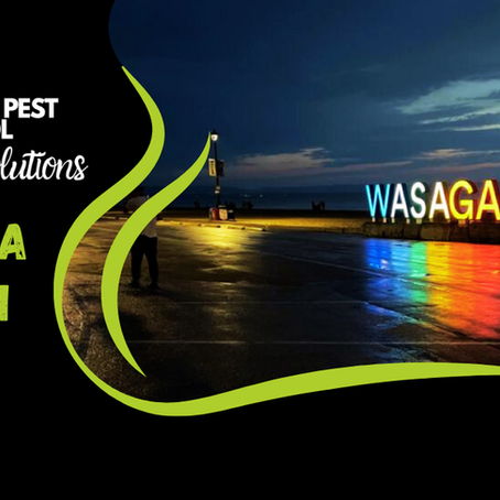 Wasaga Beach sign at night.