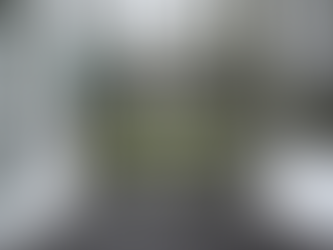 Snow-covered forest road with text overlay reading "Seal. Store. Secure. Stay pest-free this winter, The Balson Way". Promoting Balson Pest Control's winter pest prevention checklist for homeowners and cottage owners across Simcoe County, Muskoka and surrounding areas.