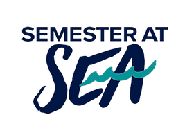 SaS logo.png