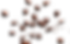 Clip path group.png