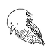 passarinho.png