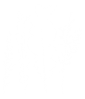 arvores brancas.png