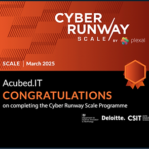 Image for Cyber Runway Scale Certificate