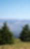 FR_DIRT_MADEIRA_HD0079.JPG