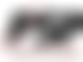 ASIS PSP Online Training: The Smart Path to Becoming a Professional Security Expert