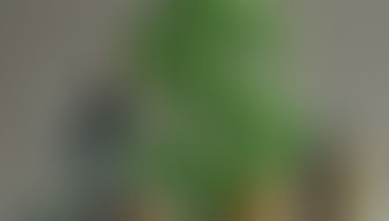 The world of Finance