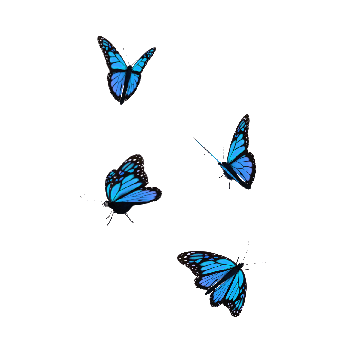 64ade9970408e02bf5d7210eb23a340f.gif
