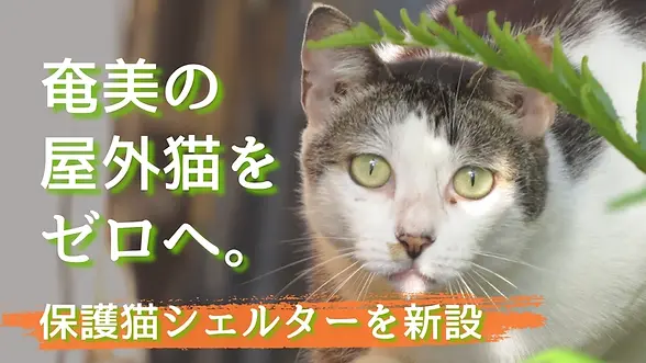 クラファン(2026.RF).webp
