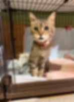 No.180  メス  19歳