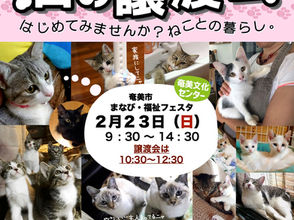 2020年 春の猫問題キャンペーンスタート!【第1弾】 奄美エフエムCM、【第2弾】譲渡会in「まなび福祉フェスタ」