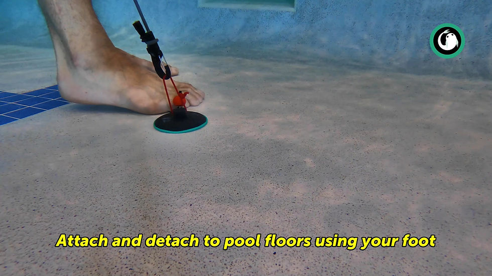 Miniaturbild: Pool ClingCup Set