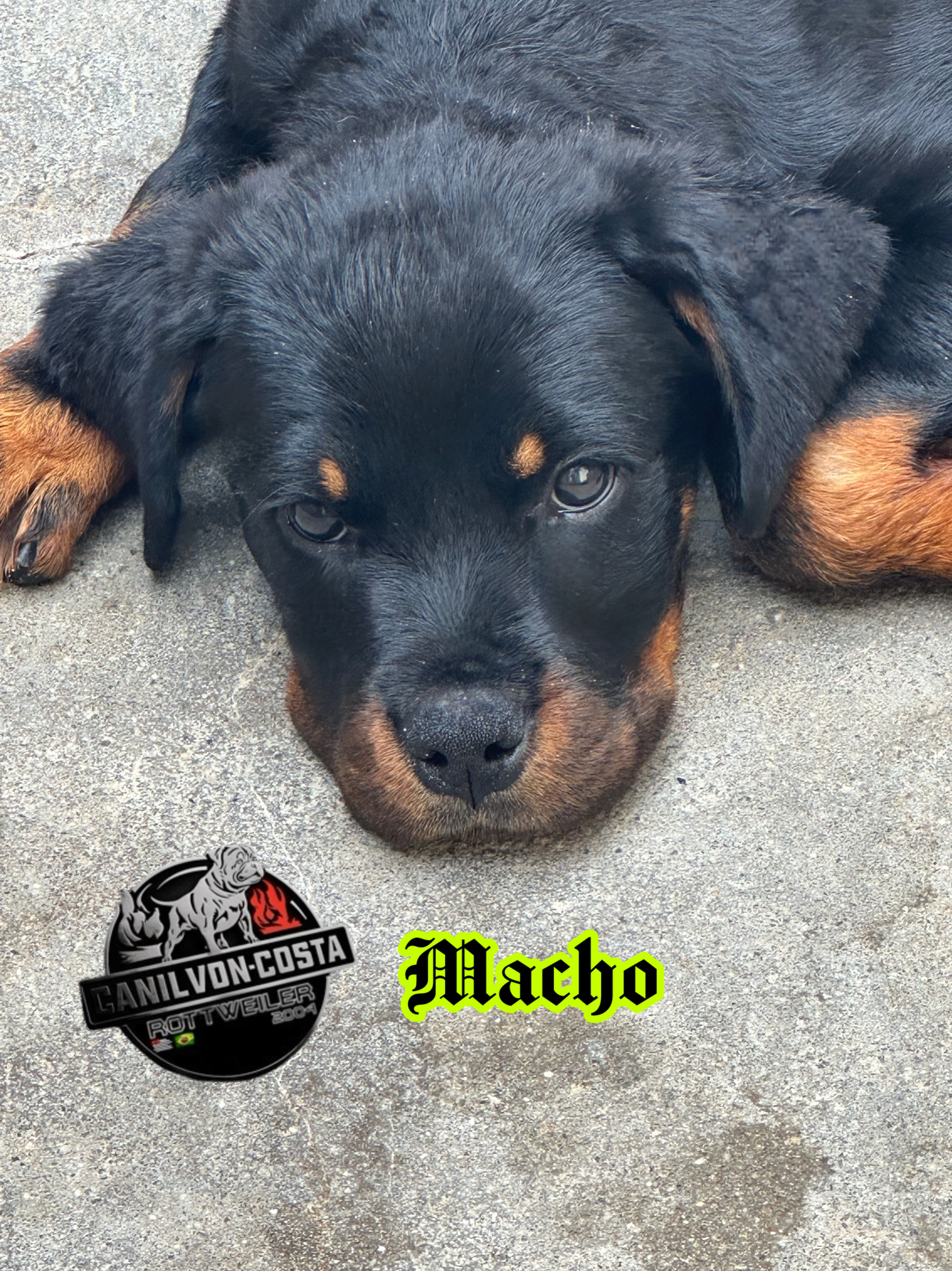 Black Advanced von Costa