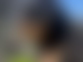 Filhotes de Rottweiler Disponíveis | Nova Ninhada Von Costa Rottweiler