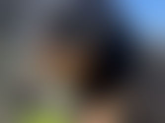 Filhotes de Rottweiler Disponíveis | Nova Ninhada Von Costa Rottweiler