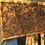 Miniaturbild: Bienenvolk Dadant Blatt