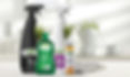 Green-Cleaning-Products-and-Techniques.jpg
