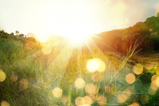 Growing in Crisis: From Grief to Gratitude